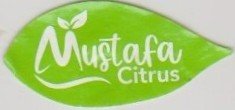 Mustafe citrus