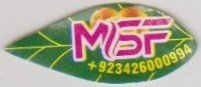 MSF 923426000994