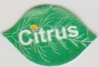 Citrus