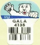 USA gala 4135