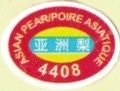 asian pear poire asiatique 4408