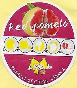 Red pomelo product of china claas 1