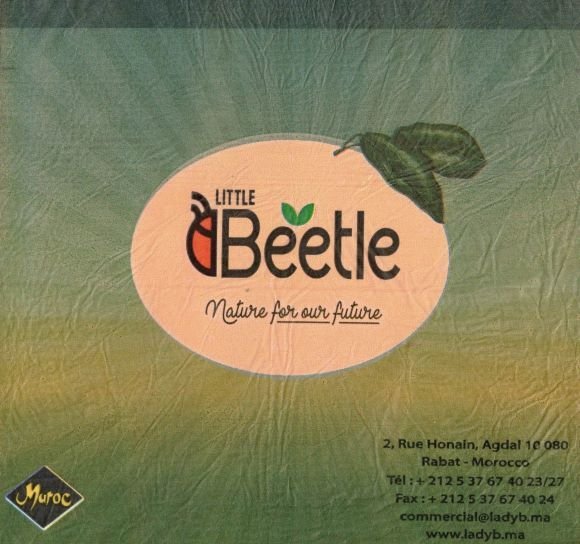 Little beetle nature for our future maroc www.ladyb.ma