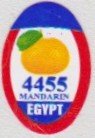 4455 mandarin Egypt