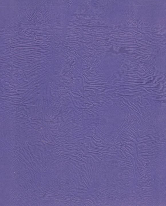 sansnom (couleur unie)