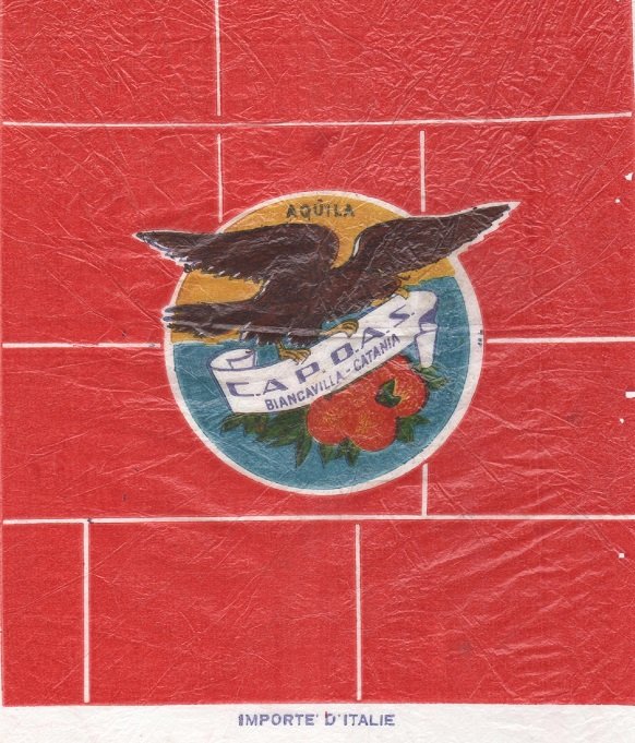 Aquila c.a.p.o.a.s. biancavilla - catania  importe d italie