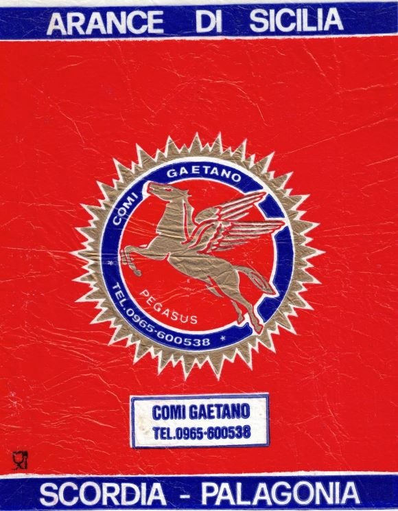 Pegasus comi gaetano arance di sicilia scordia palagonia