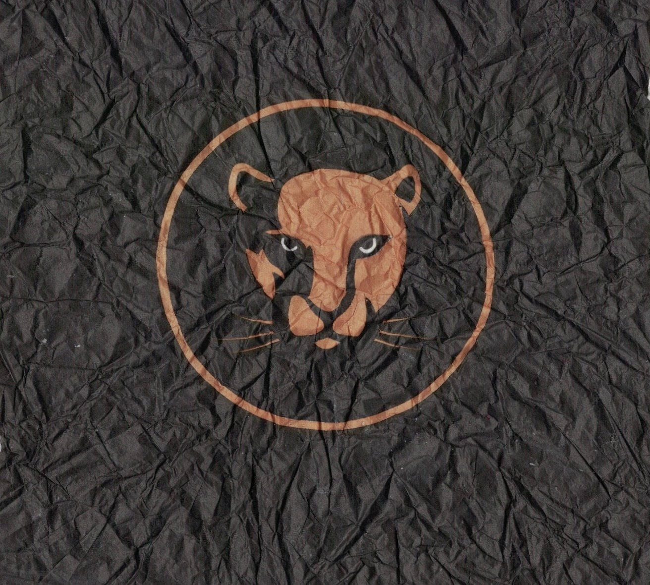 sansnom (animaux)