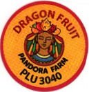 pandora farm dragon fruit plu 3040