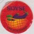 Soyse +98 9136390891