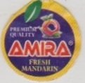 Amira premium quality fresh mandarin
