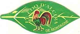 le coq d alcira de montagne