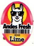 andes fresh 4048 lime