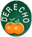derecho