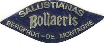 bollaerts salustianas bergfruit-de-montagne