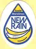new rain ecuador bananas