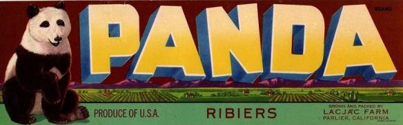 panda ribiers produce of usa