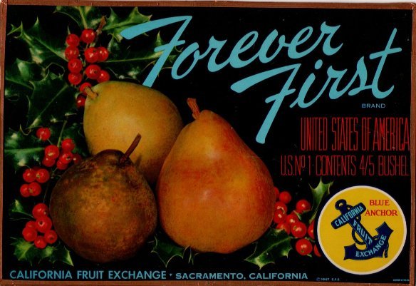 forever first united states of america