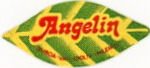 angelin murcia-valladolid-palencia
