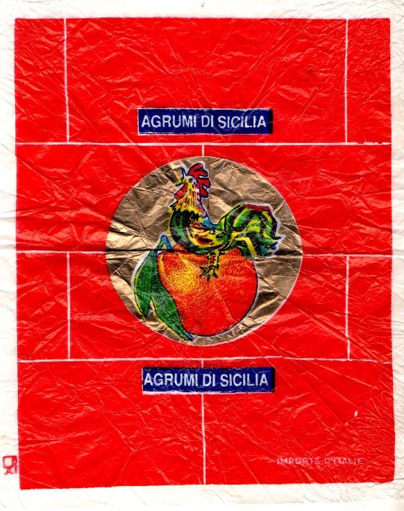 agrumi di sicilia importe d italie