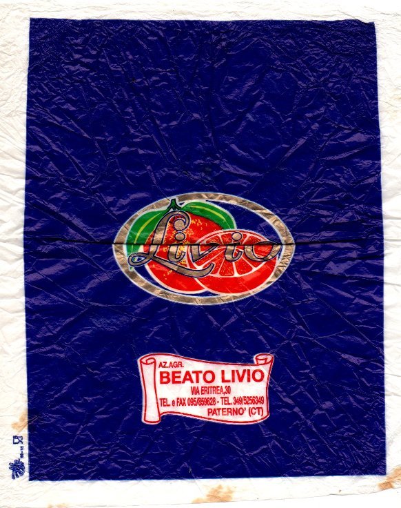 Livio s. r. l. paterno
