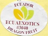 Ecuaexotics ecuador #3040 dragon fruit