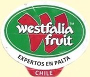 westfalia fruit expertos en palta chile