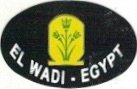 El wadi egypt