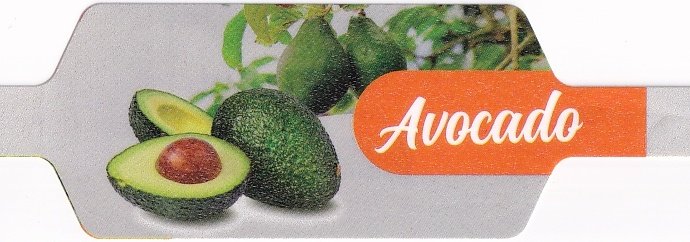 avocado