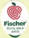 Fisher royal gala #4173