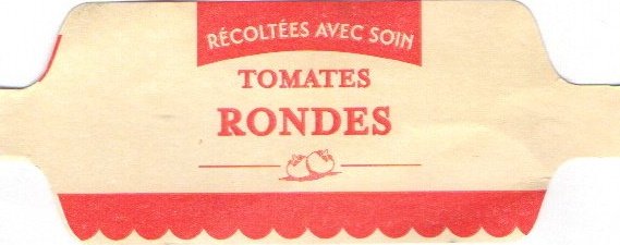 recoltees avec soin tomates rondes