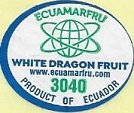 Ecuamarfru white dragon fruit 3040 product of ecuador