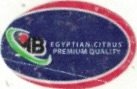 MB egyptian citrus premium quality