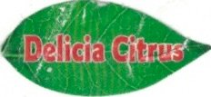 Delicia Citrus