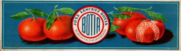 Botia jose sanchez botia murcia valencia espana