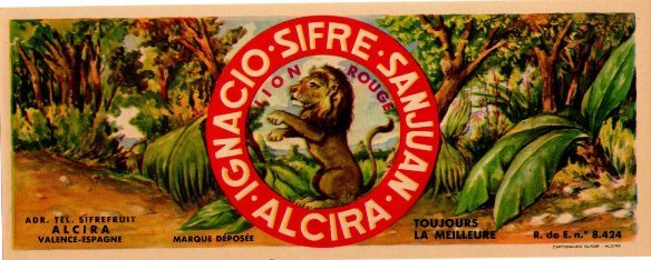 Lion rouge  ignacio sifre sanjuan sifrefruit alcira valencia espagne r.e. 8424