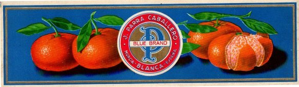 p blue brand j. parra caballero murcia blanca espana