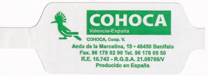 cohoca valencia espana producido en espana
