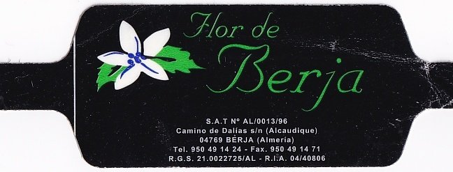 flor de berja