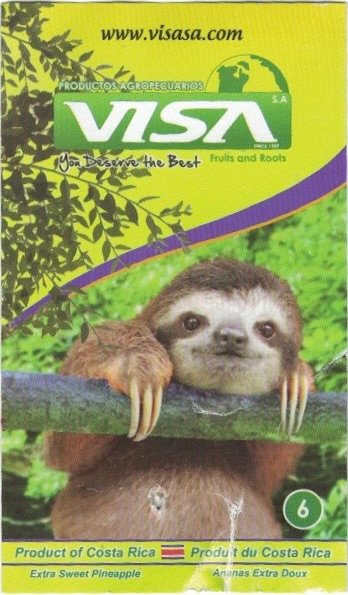 Visa www.visasa.com productos agropecuarios you deserve the best fruits and roots  product of costa rica 6 7441019900036