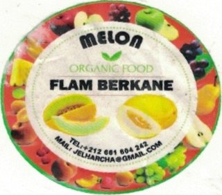 Flam Berkane melon organis food mail: jelharcha@gmail.com