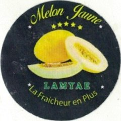 Lamyae melon jaune la fraicheur en plus
