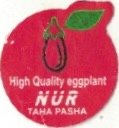 Nur high quality eggplant taha pasha