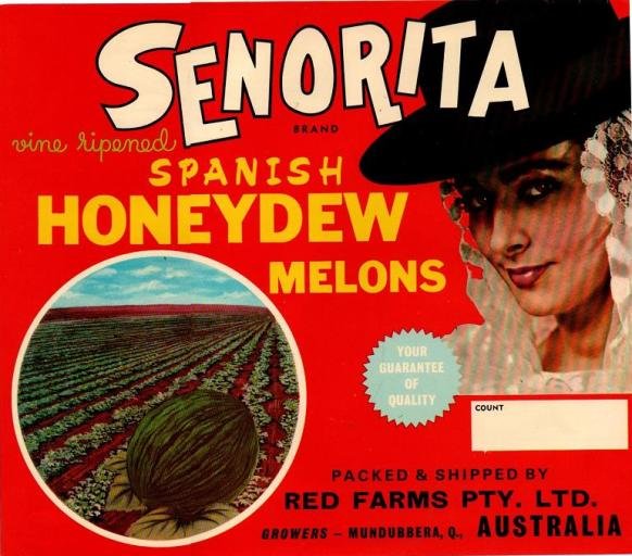 senorita brand spanich honeydew melons australia