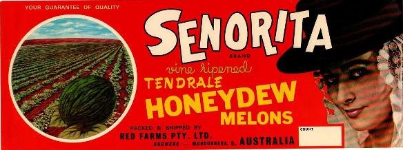 senorita brand melons honeydew australia