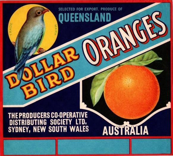 dollar bird oranges australia