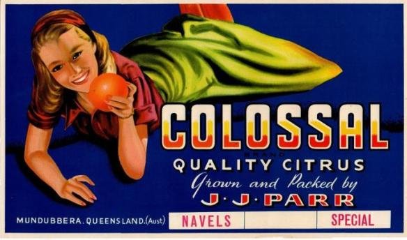 colossal quesland australia