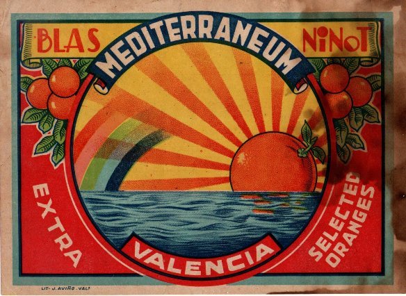 mediterraneum blas ninot oranges valencia