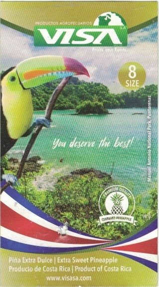Visa www.visasa.com productos agropecuarios fruits and roots you deserve the best premium quality certified pineapple product of costa rica size 8  7441019900050