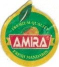 Amira premium quality fresh mandarin